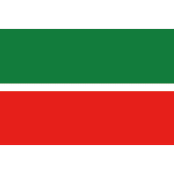 Digital Print Polyester World Cup Flags